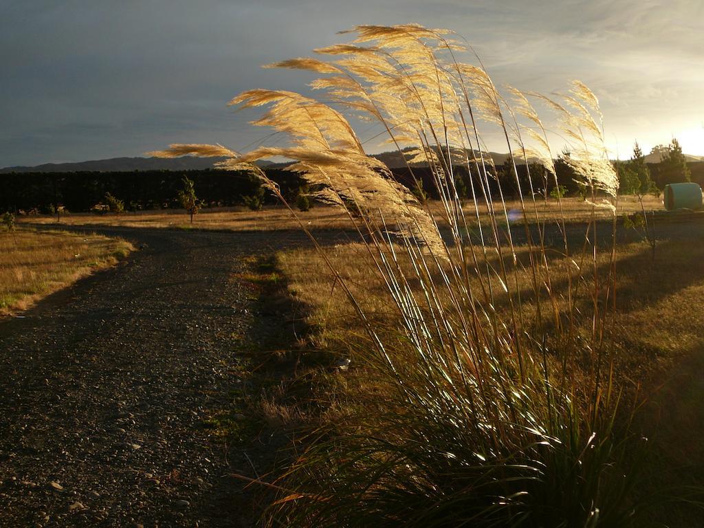 Bentleys Country Stay Hawarden Exteriör bild